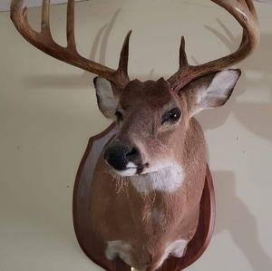 Meet your Posher, Danny